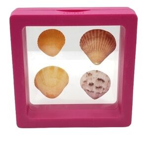 Pink Display Frame with Seashells